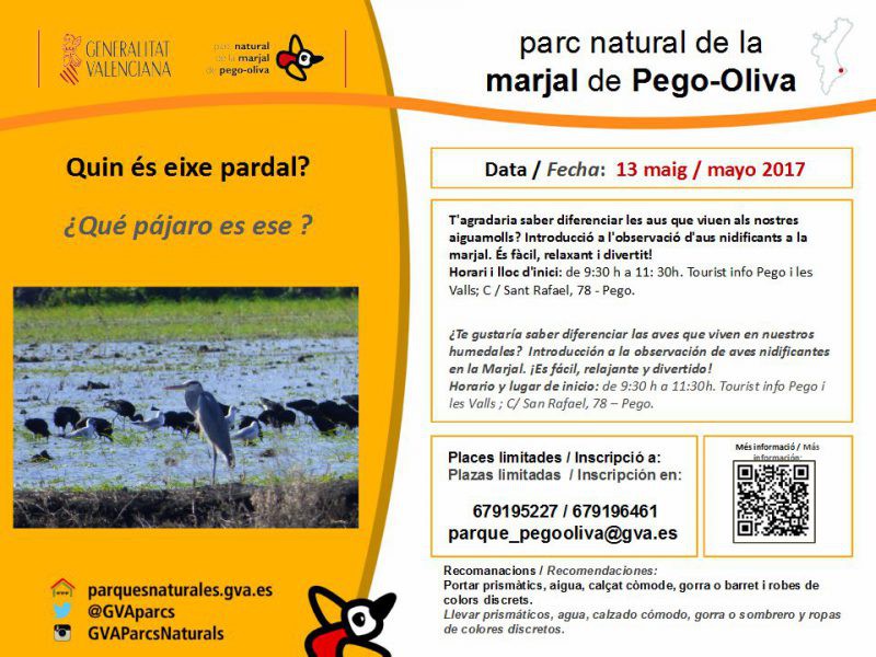 El Parc Natural de La Marjal organitza ‘Quin és eixe pardal?’ per celebrar el dia mundial de les aus migratòries