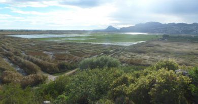 Esta vesprada es reunix la Junta Rectora del Parc Natural de La Marjal de Pego-Oliva