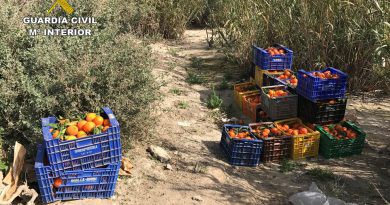 La Guàrdia Civil investiga tres persones en El verger per la sostracció de 5 tones de taronges