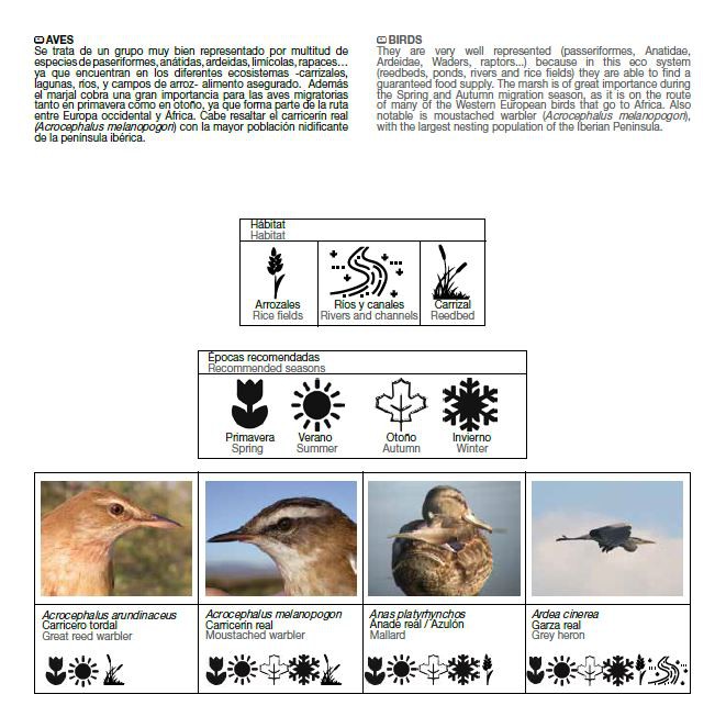 La Marjal de Pego estarà present a la British Birdwatching Fair, principal fira internacional dedicada al turisme ornitològic que celebra al Regne Unit