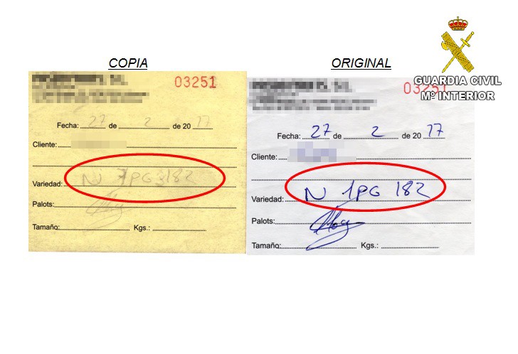 La Guàrdia Civil deté un home per una estafa en la venda de 18 tones de taronges a Pego