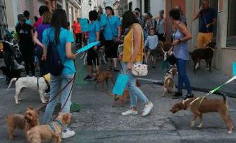 La II Caminada del Dia Mundial dels Animals a Pego demana que es cree una nova cultura i sensibilitat cap a ells