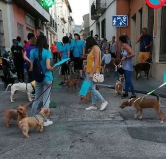 La II Caminada del Dia Mundial dels Animals a Pego demana que es cree una nova cultura i sensibilitat cap a ells