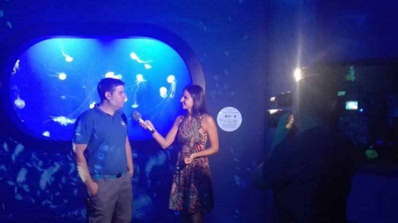 El biòleg pegolí Miguel Candelas Pérez, encarregat de l’exhibició ‘Meduses’ de l’Oceanogràfic
