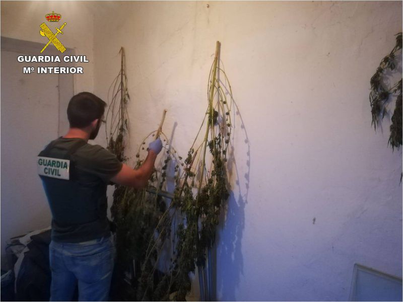 La Guàrdia Civil desmantella un nou punt actiu de producció i venda de droga a Pego