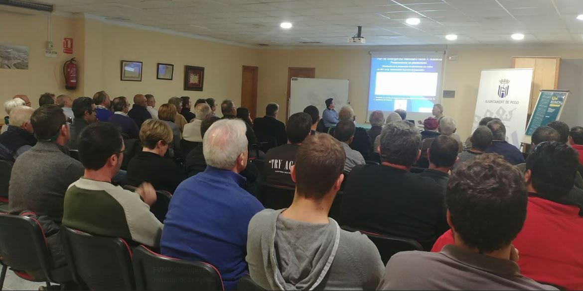 La subespècie de xylella detectada a la província d’Alacant no afecta ni cítrics, ni cirerers, ni oliveres