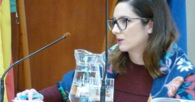 La dedicació de la regidora de Turisme, Comerç, Creama i Promoció Econòmica, a debat en el ple municipal
