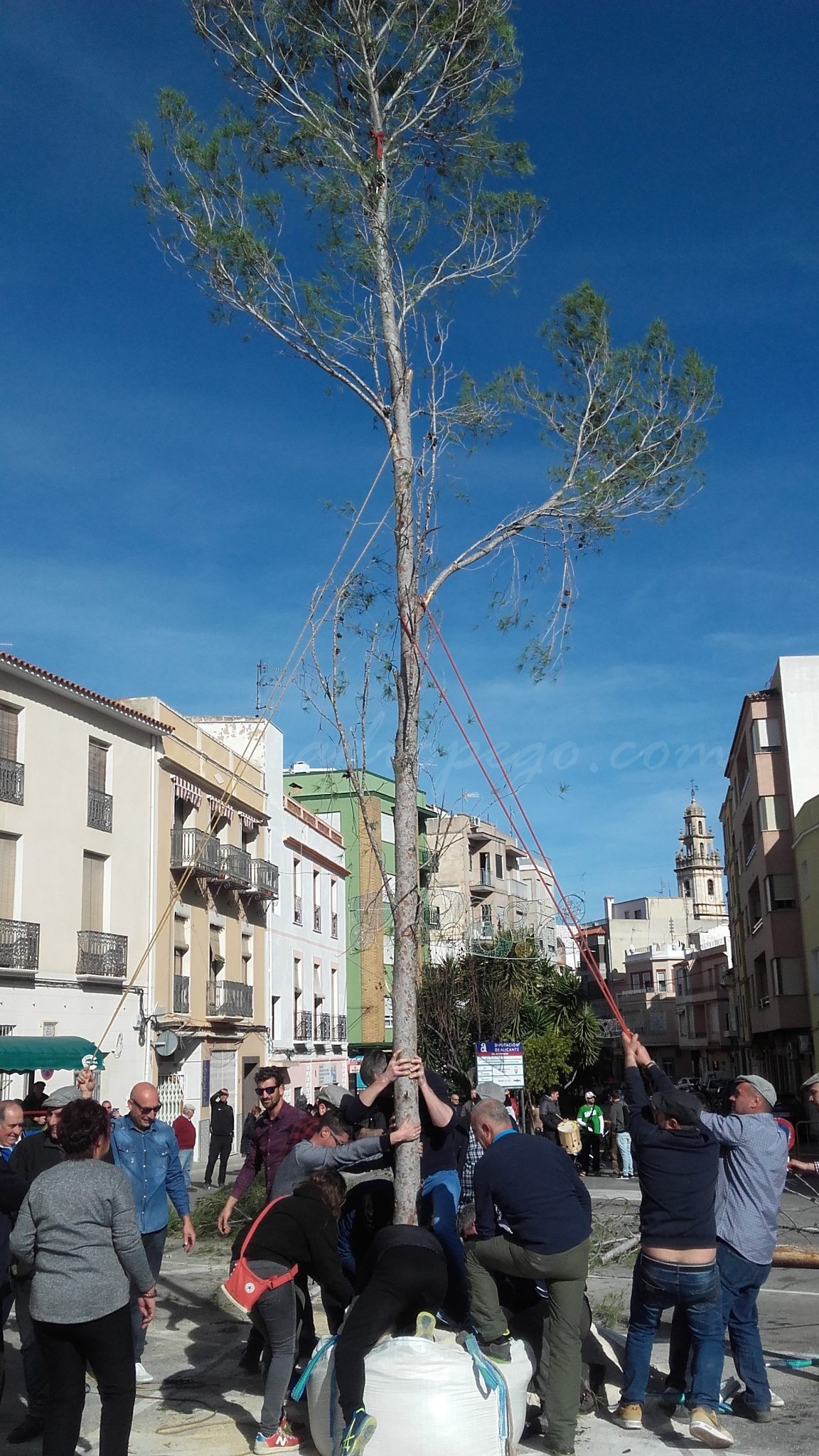 El Club Esportiu Els Carreters de Pego apropen la celebració de Sant Antoni als pegolins i les pegolines