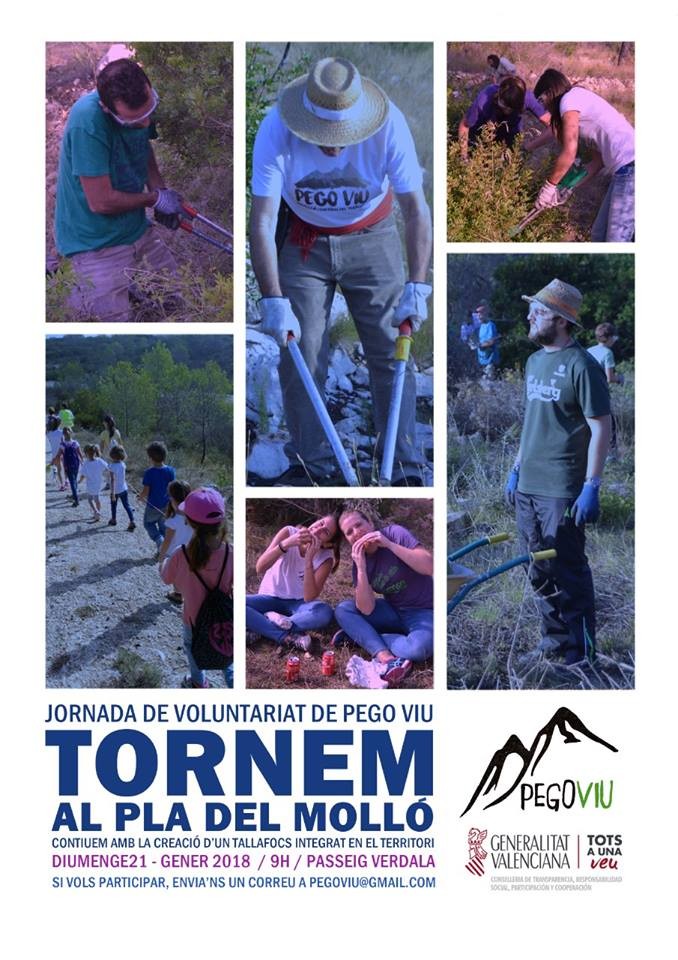 Jornada de neteja de Pego Viu al Pla del Molló