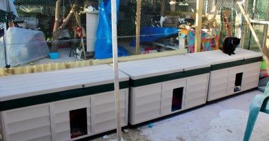 APROP completa l’espai dedicat als gats que protegix