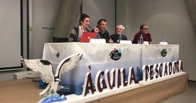 La reintroducció de l’àguila pescadora als PN de la Marjal de Pego-Oliva i al Montgó, cada vegada més pròxima