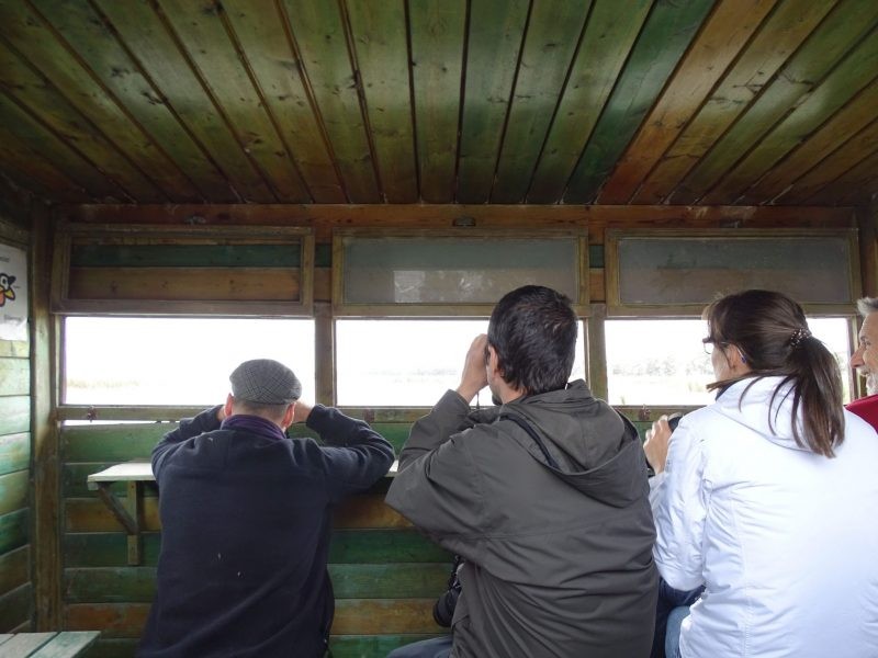 L’observació d’aus a la Marjal de Pego, ofertada per Turisme en la principal fira de turisme ornitològic d’Espanya