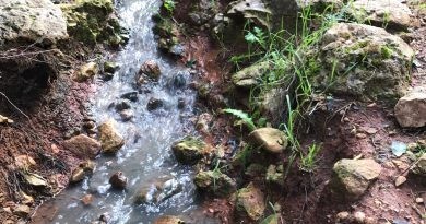 Pro Monte Pego anuncia que la Comissió Europea investigarà els vessaments de Monte Pego