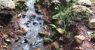 Marina Albiol denuncia a la Comissió Europea els vessaments de la depuradora de Montepego al Parc Natural de la Marjal Pego-Oliva