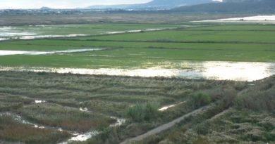 El Consell es compromet a desencallar el procés de concentració parcel·lària a la Marjal Pego-Oliva