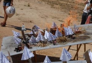 L’alumnat de 6é de Primària experimenta com es comporta el foc depenent de la gestió d’un bosc amb el projecte MEFiTU