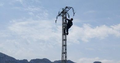 Desmunten una de les línies elèctriques que creuava pel Parc Natural de la Marjal de Pego-Oliva