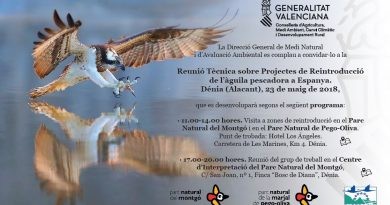 La Fundació Migres i la Conselleria de Medi Ambient analitzen els millors espais per reintroduir l’àguila pescadora al PN de la Marjal de Pego-Oliva