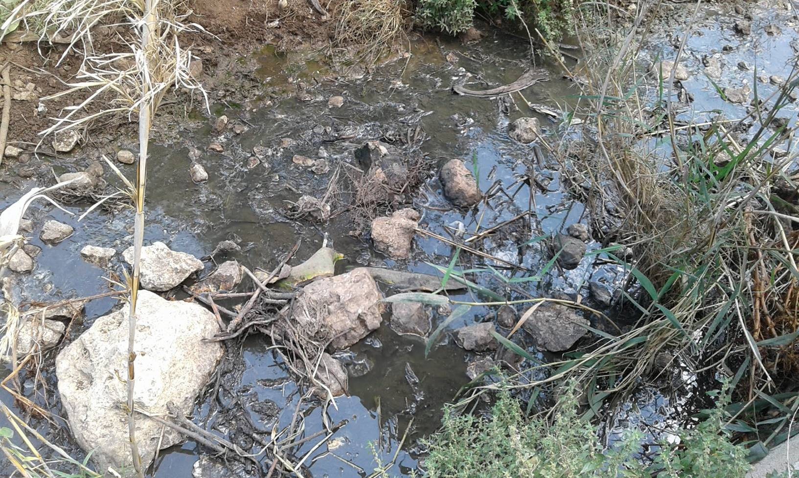 L’Associació de Veïns de la Muntanya de Pego torna a posar el focus en els vessaments de la depuradora de Monte Pego