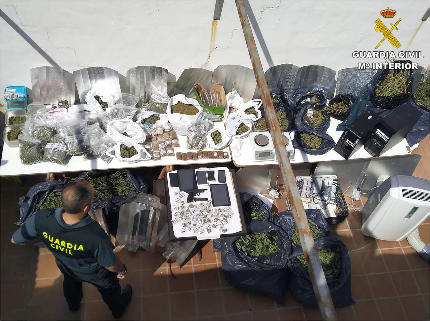 La Guàrdia Civil desarticula quatre associacions cannàbiques a la Marina Alta per tràfic de drogues