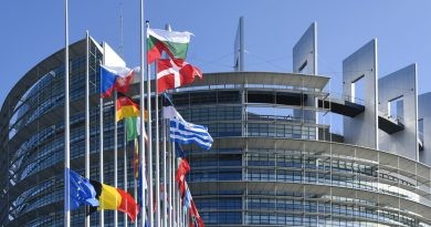 L’associació Pro-Monte Pego present en la reunió de la Comissió de Peticions del Parlament Europeu