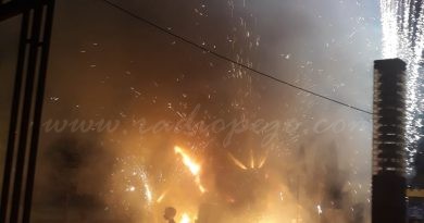 Les falles 2020 de Pego se celebraran l’any que ve