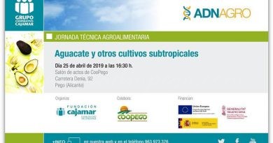 La Fundació Cajamar i Coopego han organitzat una Jornada sobre l’alvocat i altres cultius subtropicals.