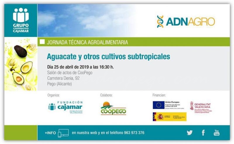 La Fundació Cajamar i Coopego han organitzat una Jornada sobre l’alvocat i altres cultius subtropicals.