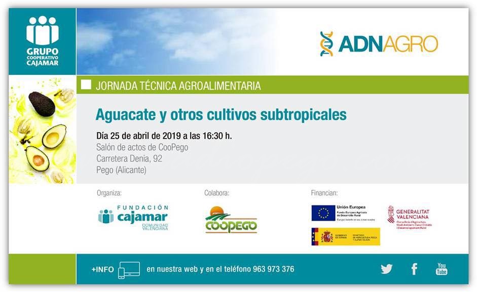 La Fundació Cajamar i Coopego han organitzat una Jornada sobre l’alvocat i altres cultius subtropicals.