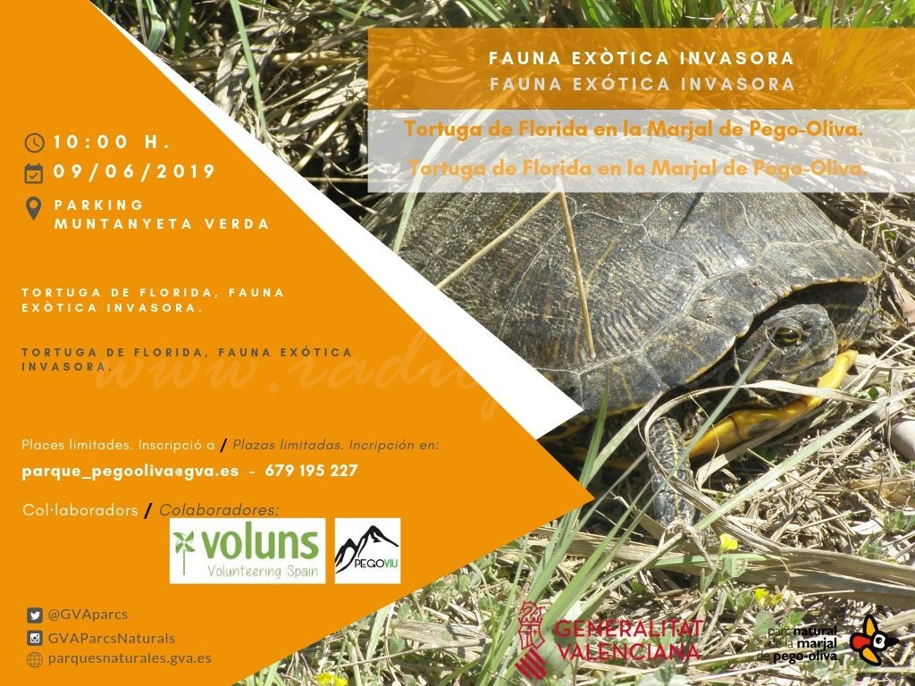 Fauna exòtica invasora