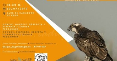 El Club de Caça i Pesca de Pego organitza una xerrada pel retorn de l’Àguila Pescadora a la Marjal Pego-Oliva