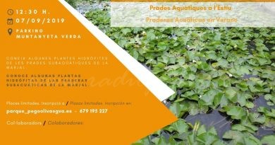 “Tresors naturals de la Marjal”, una nova activitat per a descobrir aquest paratge natural