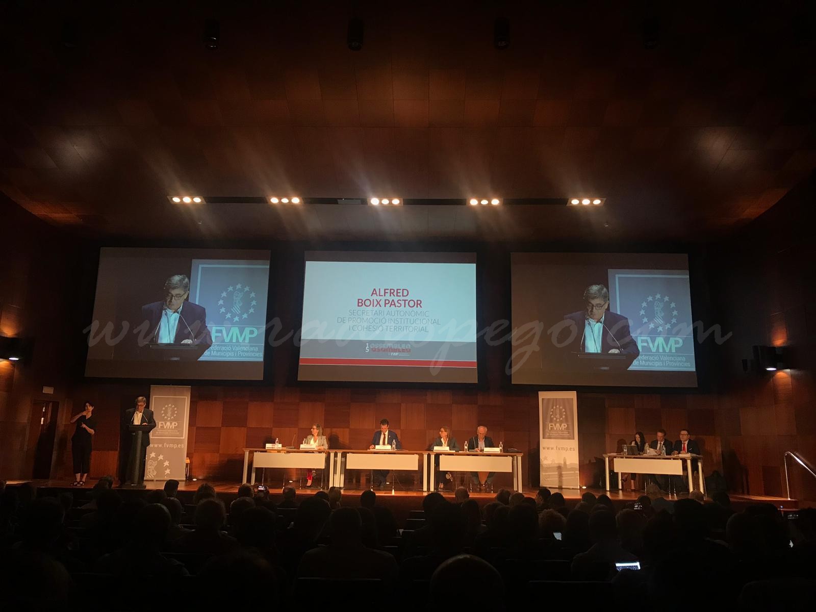 Enrique Moll, revalidat com a membre del Consell Executiu de la FVMP