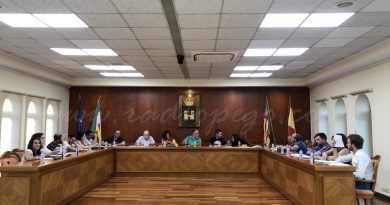 El canvi climàtic i la declaració d’emergència climàtica, a debat en el ple