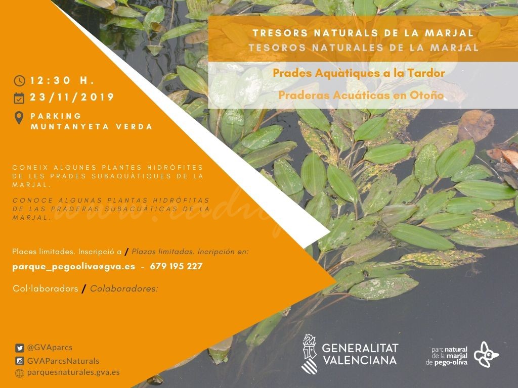 Tresors Naturals de la Marjal
