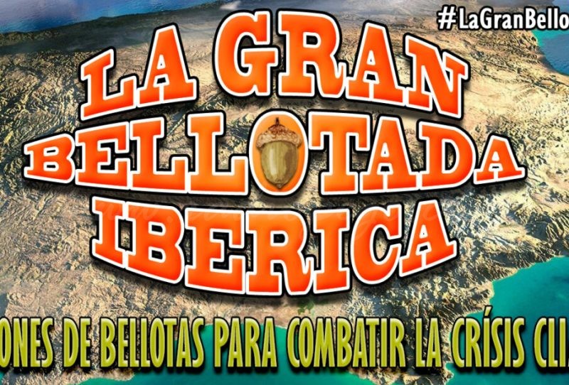 Pego Viu se suma a “La gran bellotada ibérica”