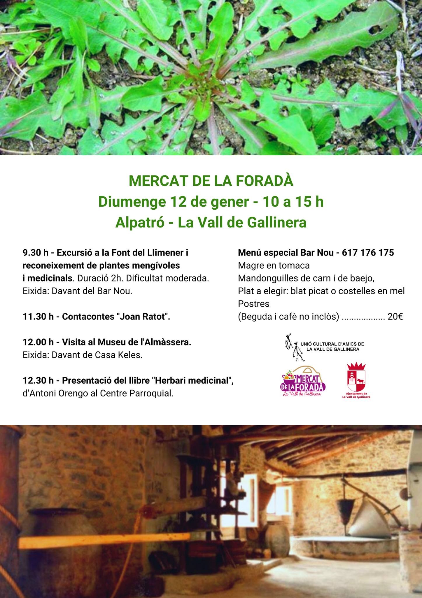 Mercat de la Foradà- Alpatró