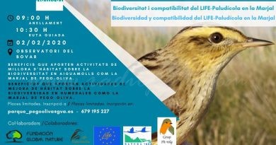 Diumenge se celebra el Dia Mundial dels Aiguamolls a la Marjal