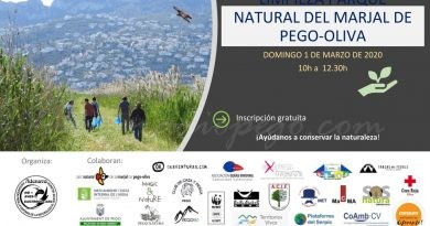 Diumenge es farà una neteja del riu Bullent