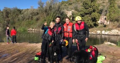 Acció Urgent convida als xiquets i xiquetes a interactuar amb els gossos de rescat el dissabte