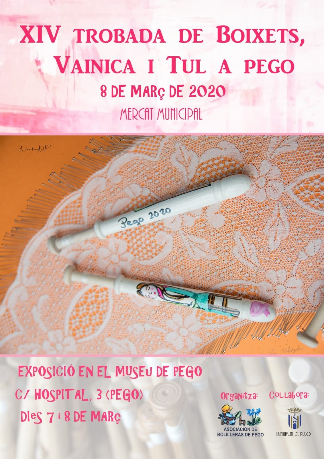 XIV trobada de boixets