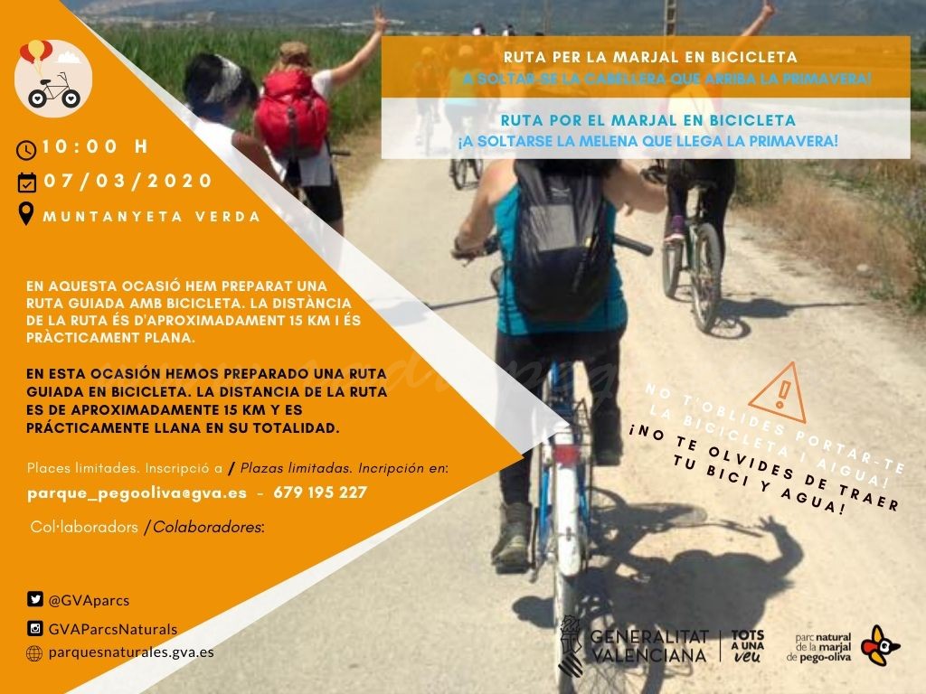 Ruta en bicileta per la Marjal