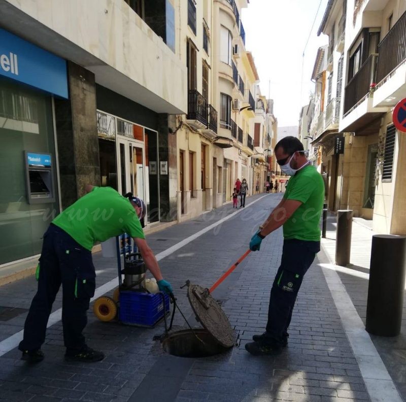 Comença campanya de fumigació contra les panderoles
