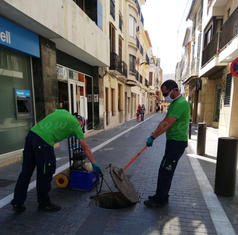Comença campanya de fumigació contra les panderoles