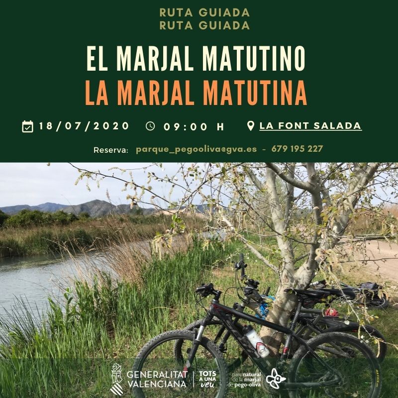 Ruta amb bici pel parc natural Ruta amb bici pel parc natural