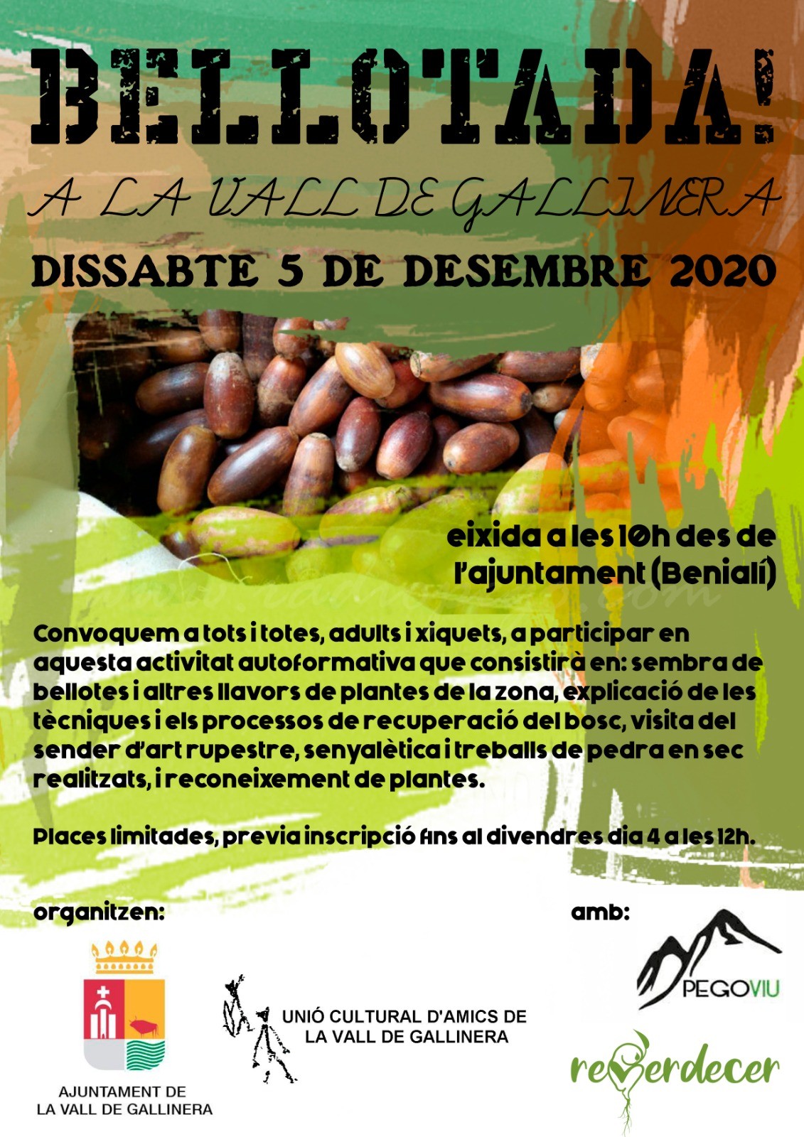 Bellotada a la vall de Gallinera