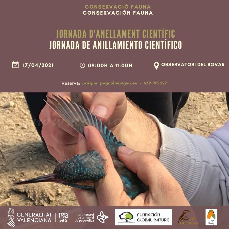Jornada d’anellament científic