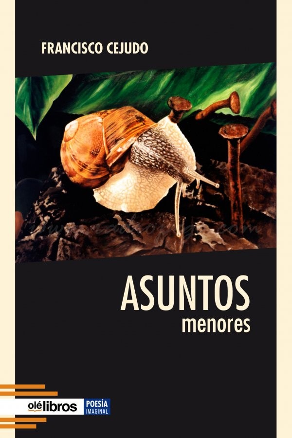 Presentació del llibre ‘Asuntos menores’, Ondara.