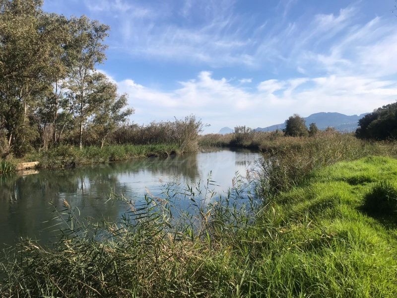Els metges prescriuran un Itinerari Saludable creat a la Marjal