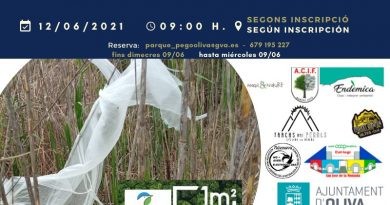 Jornada de neteja del Parc Natural de la Marjal Pego-Oliva